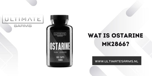 Wat is Ostarine MK2866?