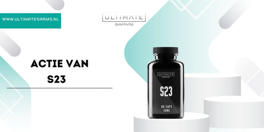 actie van s23